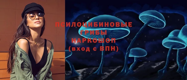 2c-b Белокуриха