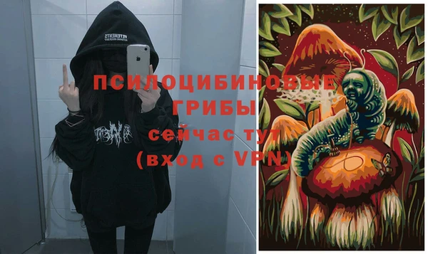 2c-b Белокуриха