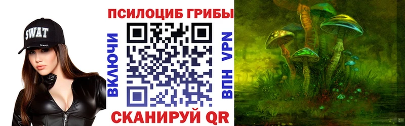 МЕГА tor  Печора  Галлюциногенные грибы мицелий 
